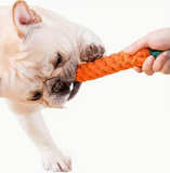 All Breed Sizes Carrot-Shaped Dog Toy