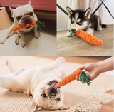 All Breed Sizes Carrot-Shaped Dog Toy