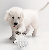 Hedgehog Dog Chew Ball