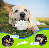 Hedgehog Dog Chew Ball