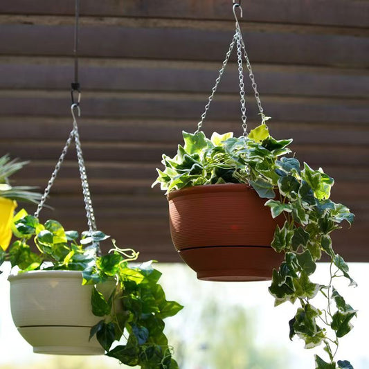 Lightweight Plastic Hanging Flower Basket