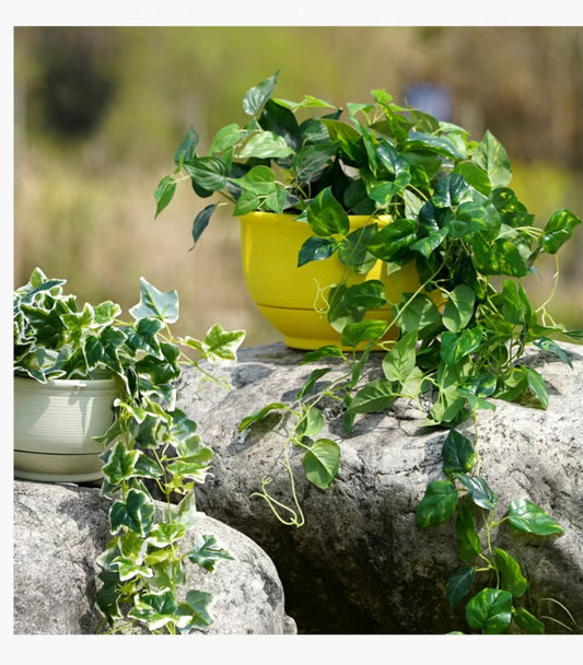 Lightweight Plastic Hanging Flower Basket