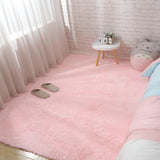 Thick Fluffy Plush Area Rug