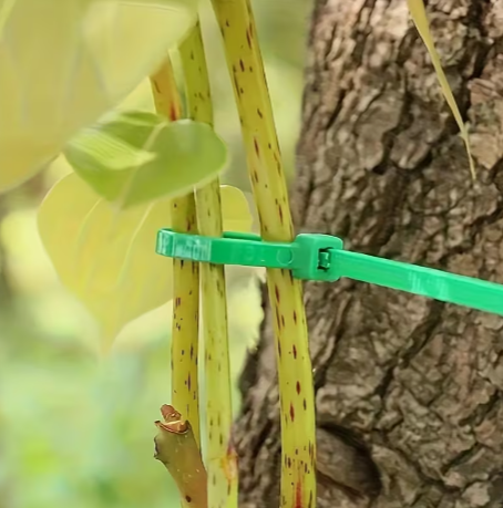Heavy-Duty Plant Support Tie Wires