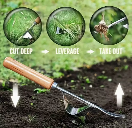 Ergonomic Stainless Steel Weeder