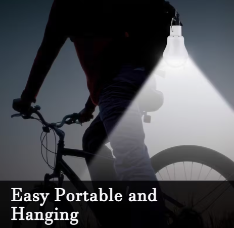 Solar-Powered LED Outdoor Light Bulb