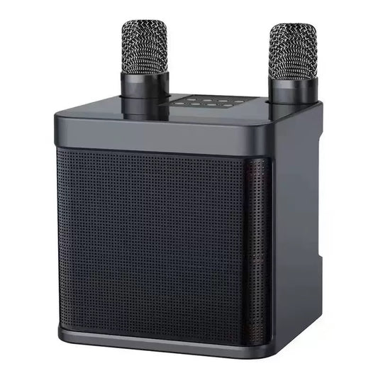 Portable Bluetooth Karaoke Speaker with Microphone