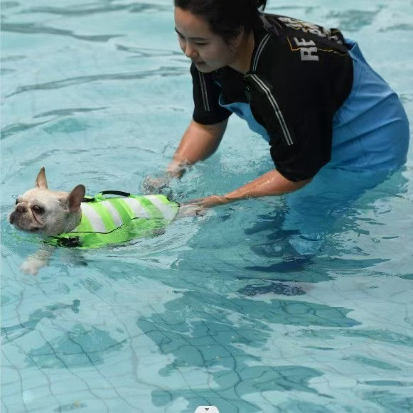 Waterproof Dog Life Jacket