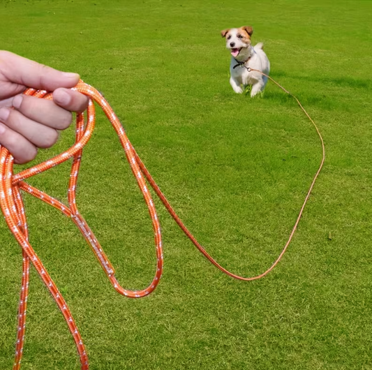 Reflective Long Dog Training Leash