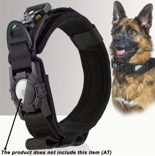 Tactical Nylon Dog Collar with GPS Holder