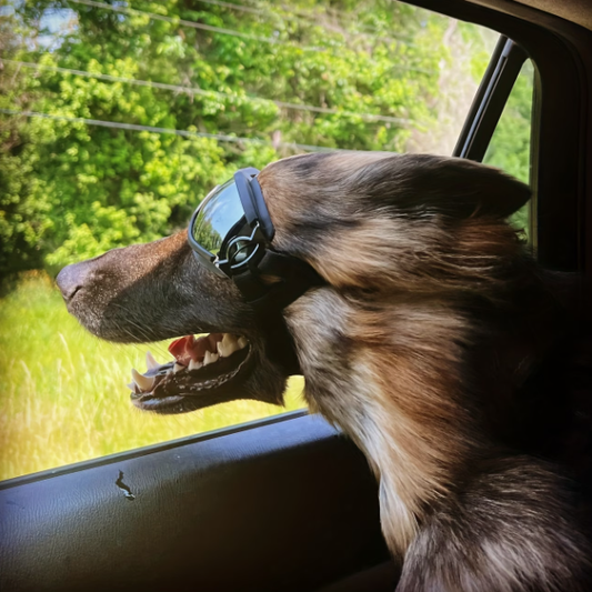 UV Protection Reflective Outdoor Pet Glasses