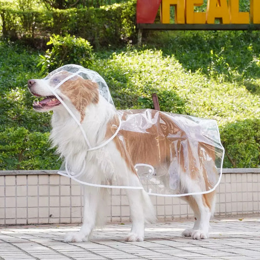 Transparent Waterproof Dog Raincoat