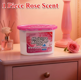 500ml Moisture Absorbent Box