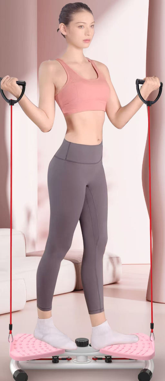 Balance  Waist Twister Board