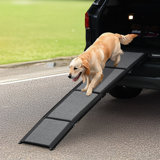 Foldable Anti-Slip Dog Ramp