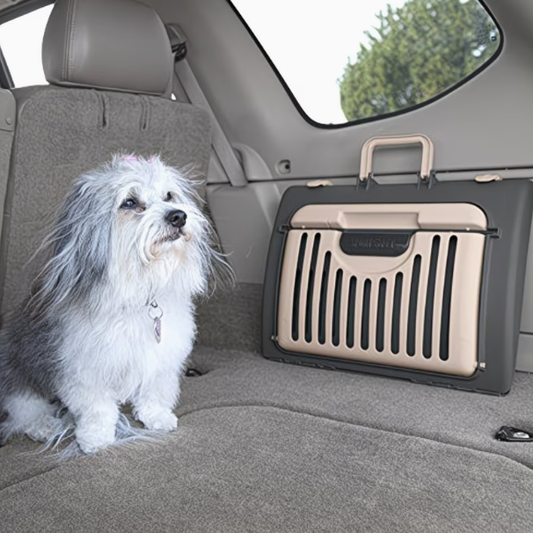 Foldable Travel Cat Carrier