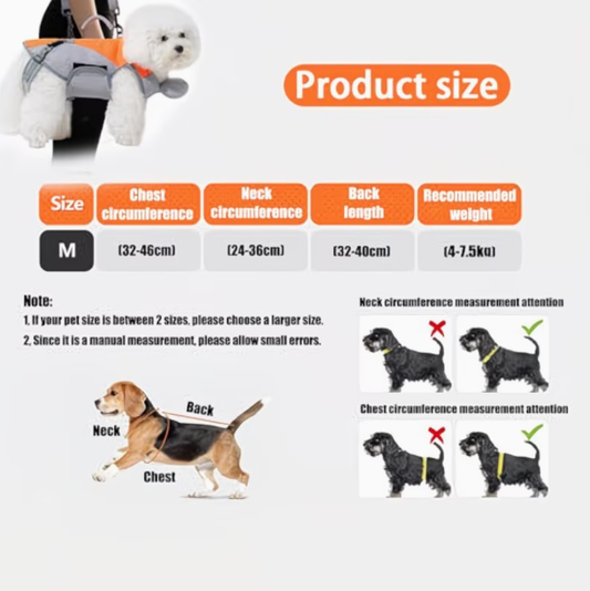 Breathable Pet Harness & Carrier