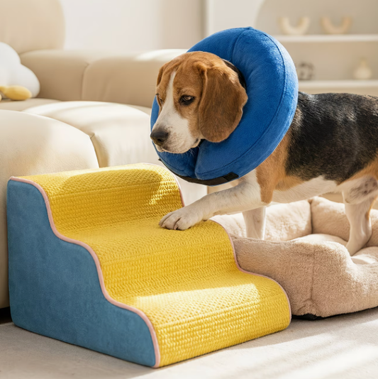 1pc L-size Yellow and Blue Dual-color Ripple Orthopedic Pet Climbing Ladder for Cats and Dogs