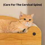 Spacious Indoor Cat Playhouse