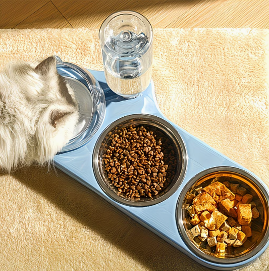 Colorful Multi-Purpose Pet Bowl