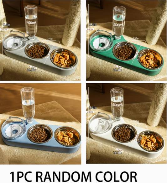 Colorful Multi-Purpose Pet Bowl