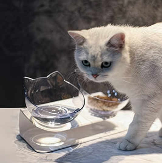 Double Elevated Pet Food Bowls