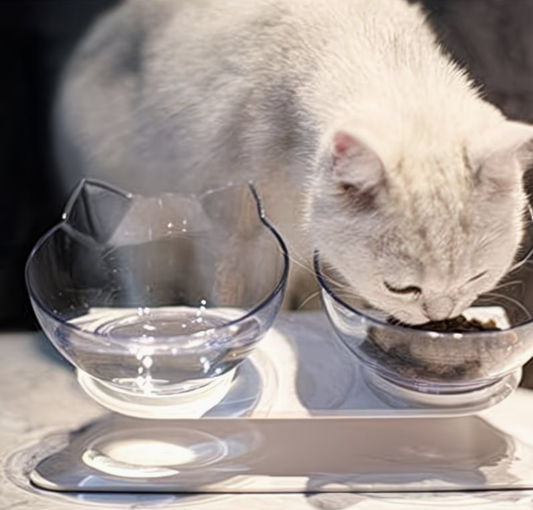 Double Elevated Pet Food Bowls