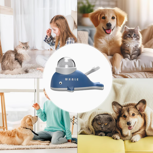 Whale-Shaped Interactive Dog Treat Toy