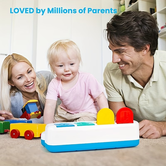 Animal Sorting Baby Learning Toys