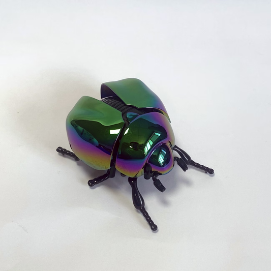 Mechanical Spring Beetle Toy