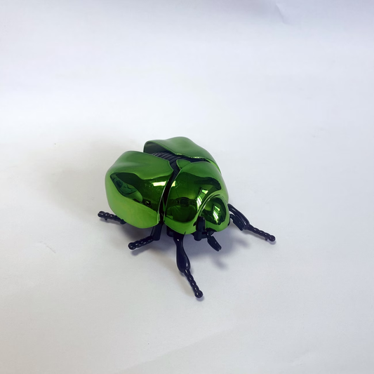 Mechanical Spring Beetle Toy