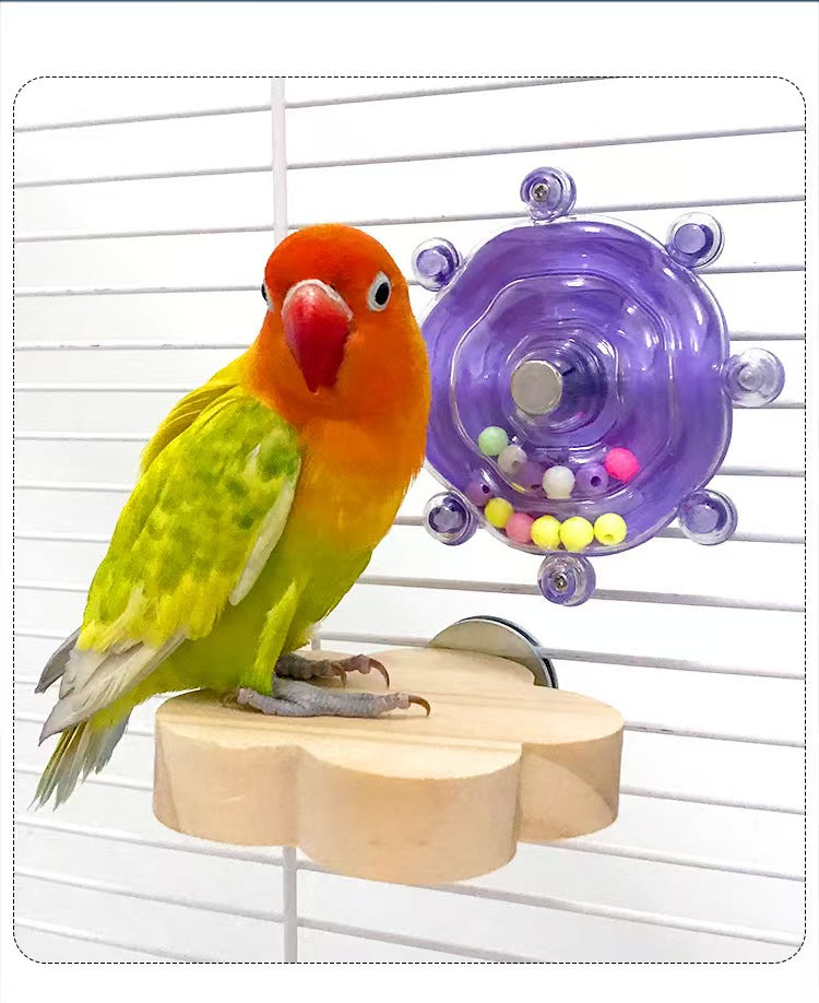 Parrot Spinner Toy