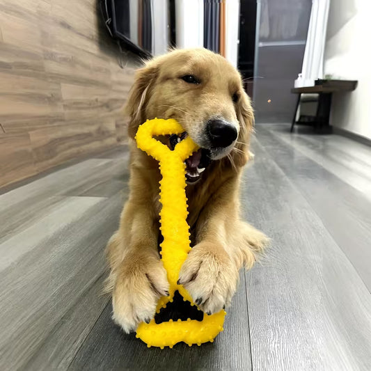 TPR Bone Dog Chew Toy