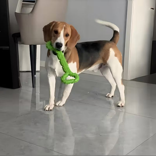 TPR Bone Dog Chew Toy