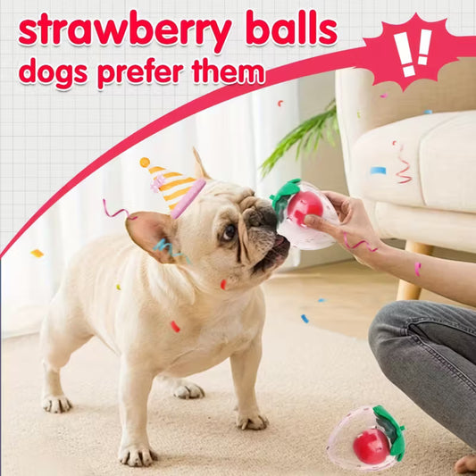 Strawberry Squeaky Pet Toy