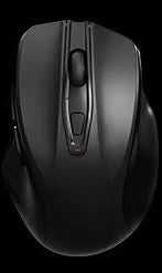 2.4G Wireless Ergonomic Mouse