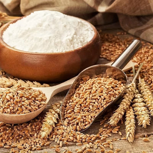 Heavy-Duty Stainless Steel Ice Shovel