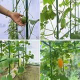 28pcs Set of Durable Garden Support Stakes, Corrosion-Resistant And Easy to Insert, Suitable for All Kinds of Plants, Fruits And Vegetables, And a Must-Have Stable Bracket for Terrace And Balcony Planting