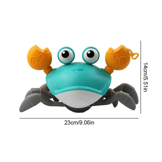 Baby Crab Water Play Toy