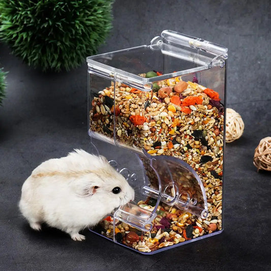 Clear Automatic Feeder
