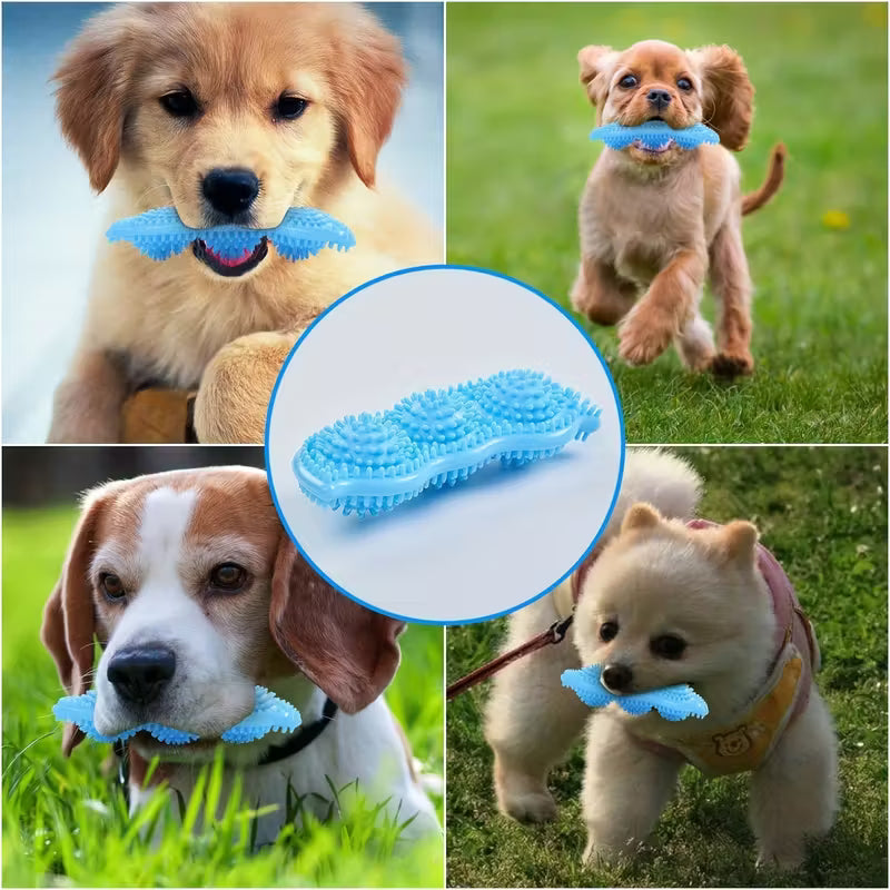 Pea Chew Toy for Pets
