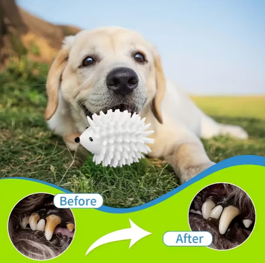 Hedgehog Dog Chew Ball